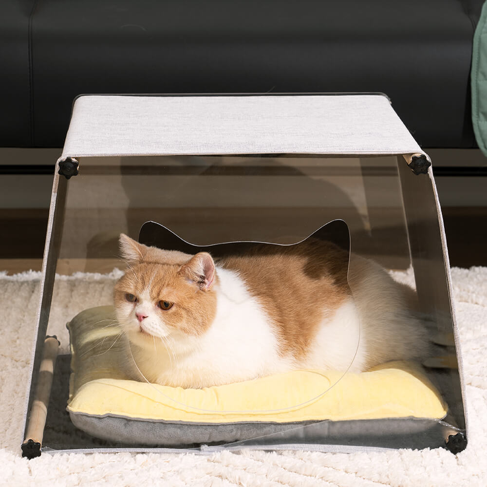 Einfaches Katzenhaus aus Acryl für den Innenbereich mit Massivholzstruktur