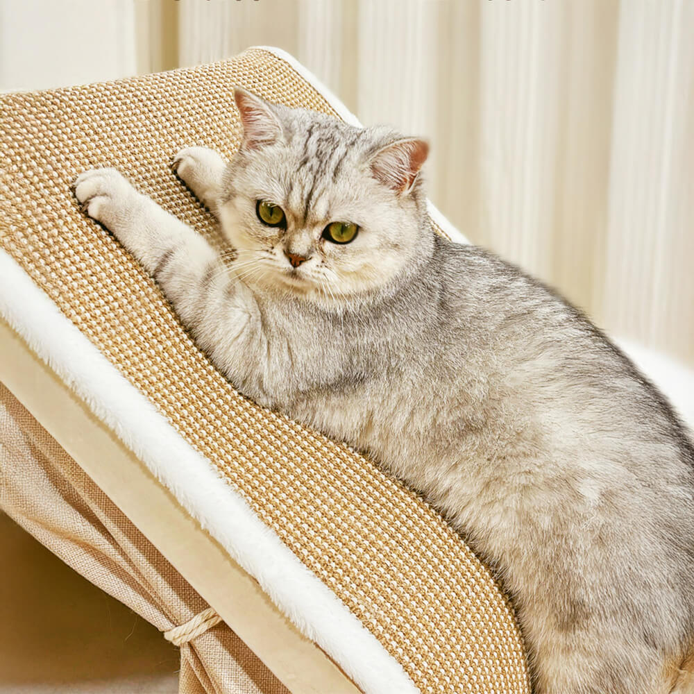 All-in-One Katzenzelt mit Kratzdach und gemütlicher Schlaffläche