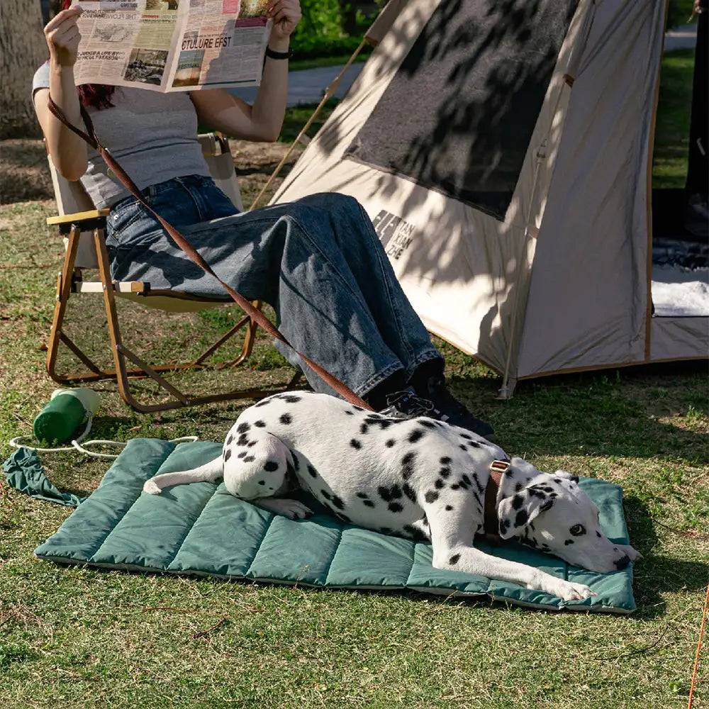 Tragbare faltbare beidseitige wasserabweisende Hundematte für Outdoor-Reisen und Camping