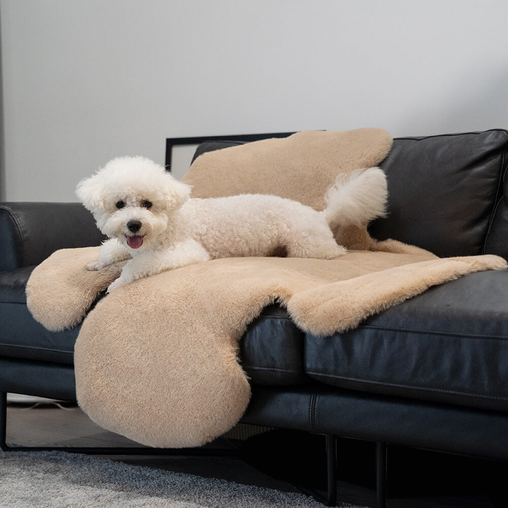 Große Flauschige Haustiermatte in Teddybärform