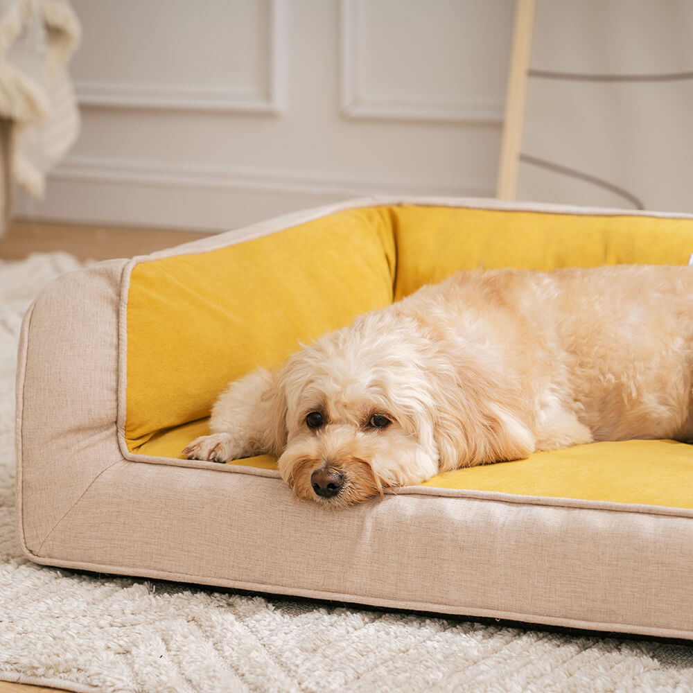 Bequemes Orthopädisches Hundesofabett mit voller Unterstützung