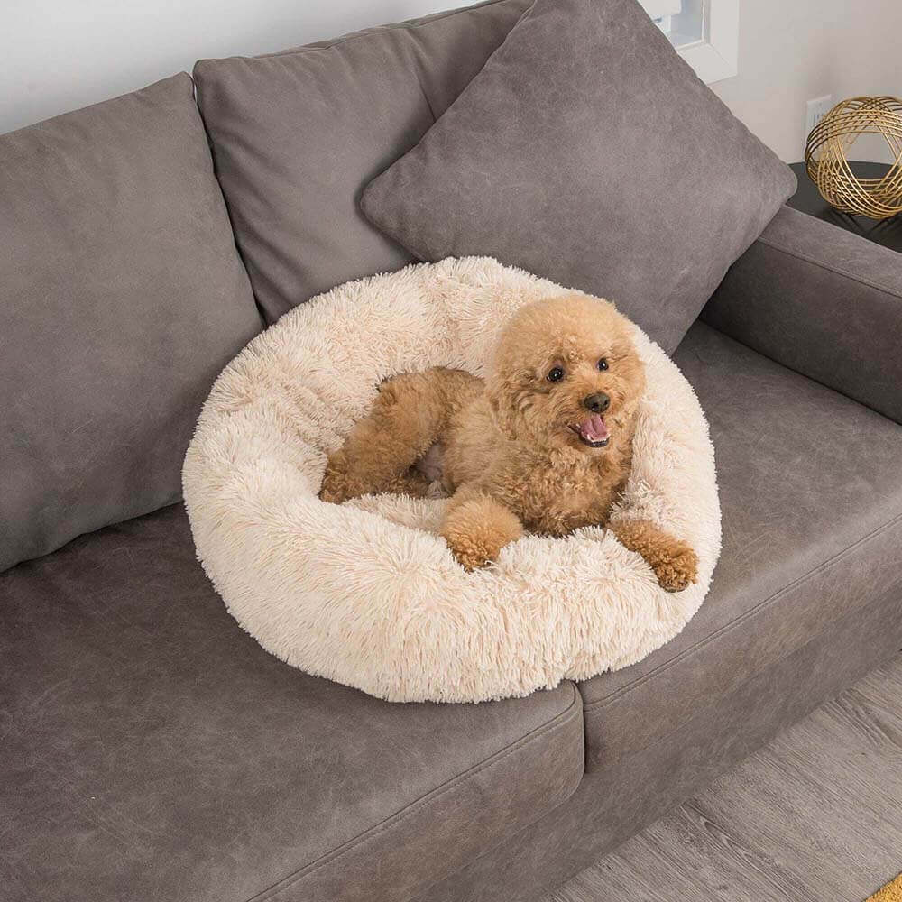 Unscharfer Runder Flauschiger Hundebett