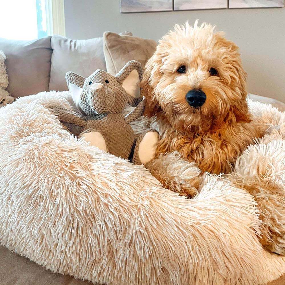 Unscharfer Runder Flauschiger Hundebett