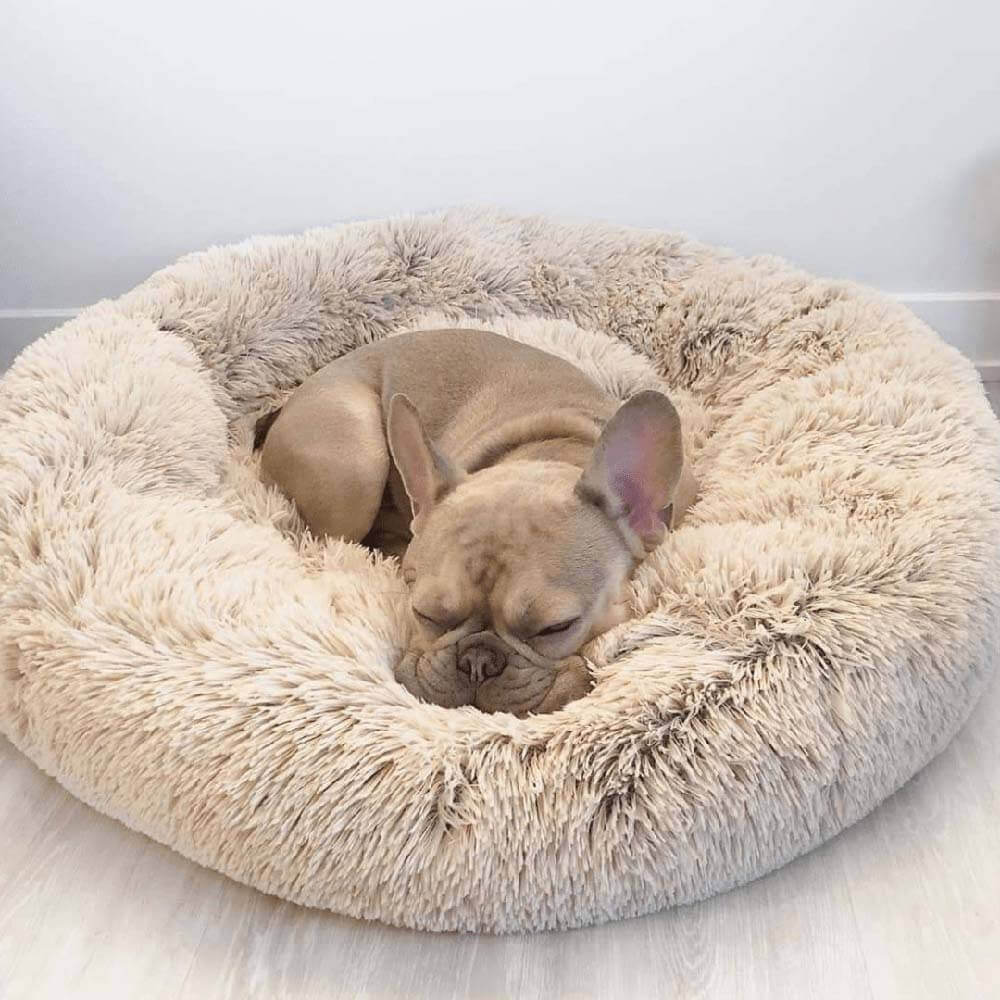 Unscharfer Runder Flauschiger Hundebett