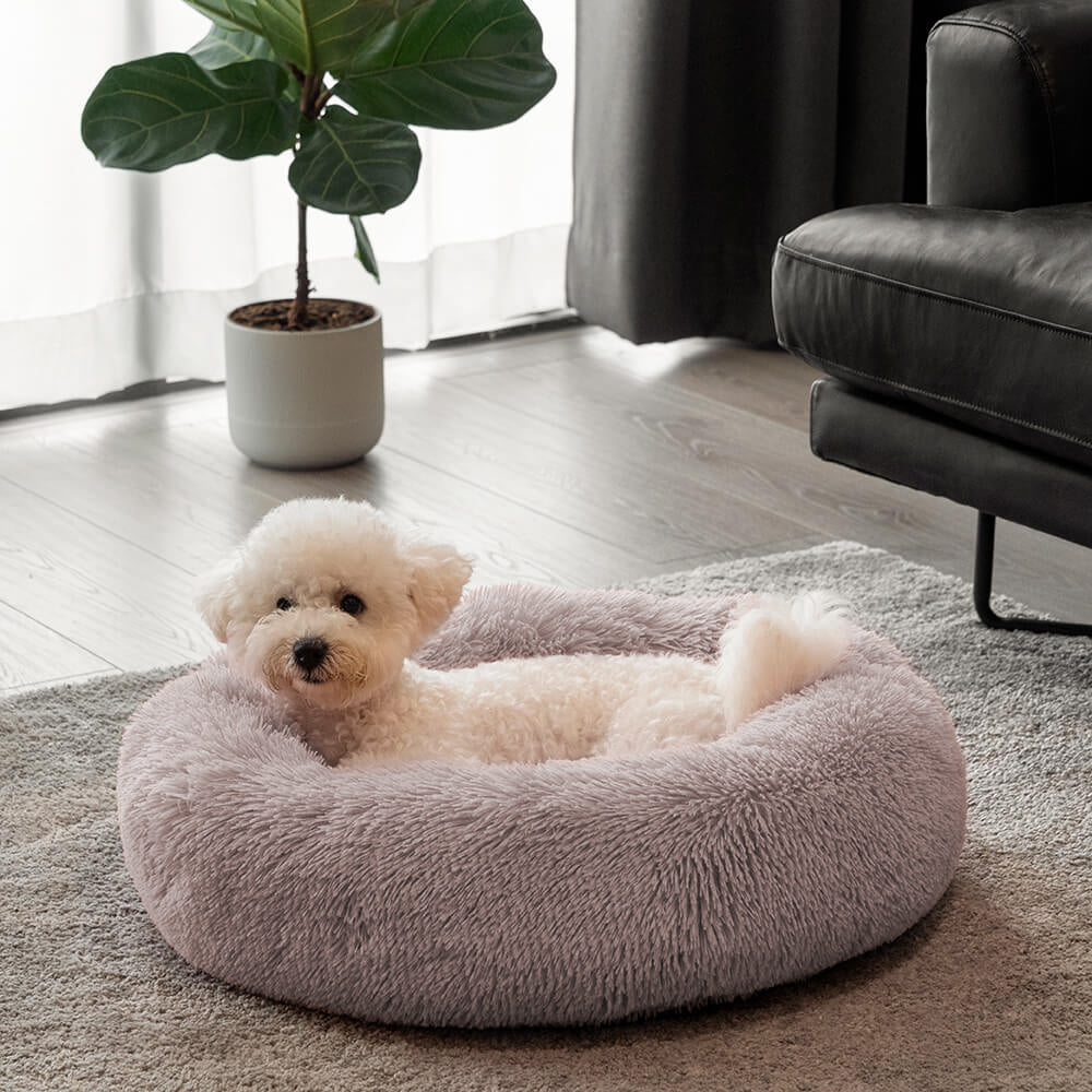 Unscharfer Runder Flauschiger Hundebett