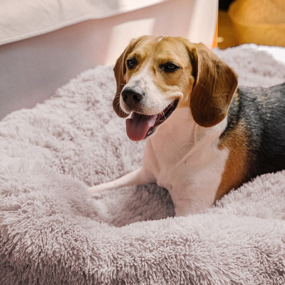 Unscharfer Runder Flauschiger Hundebett