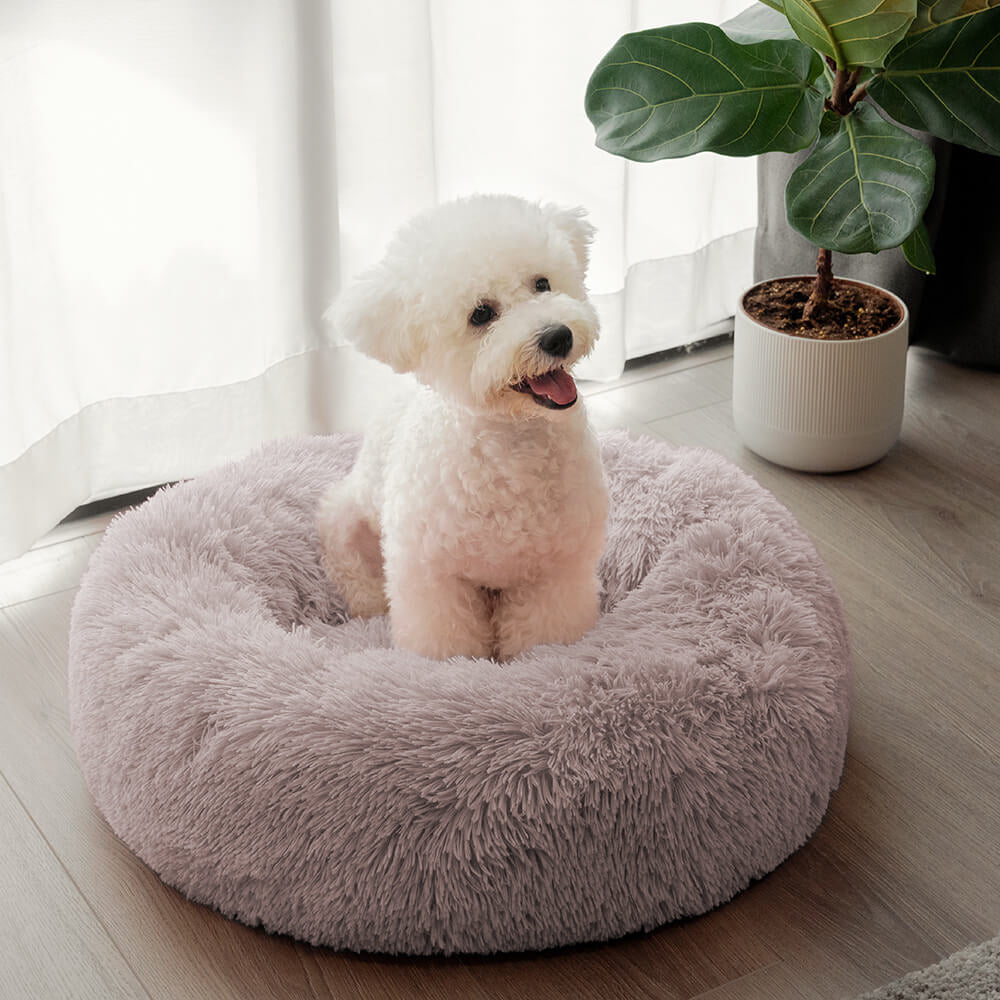 Unscharfer Runder Flauschiger Hundebett