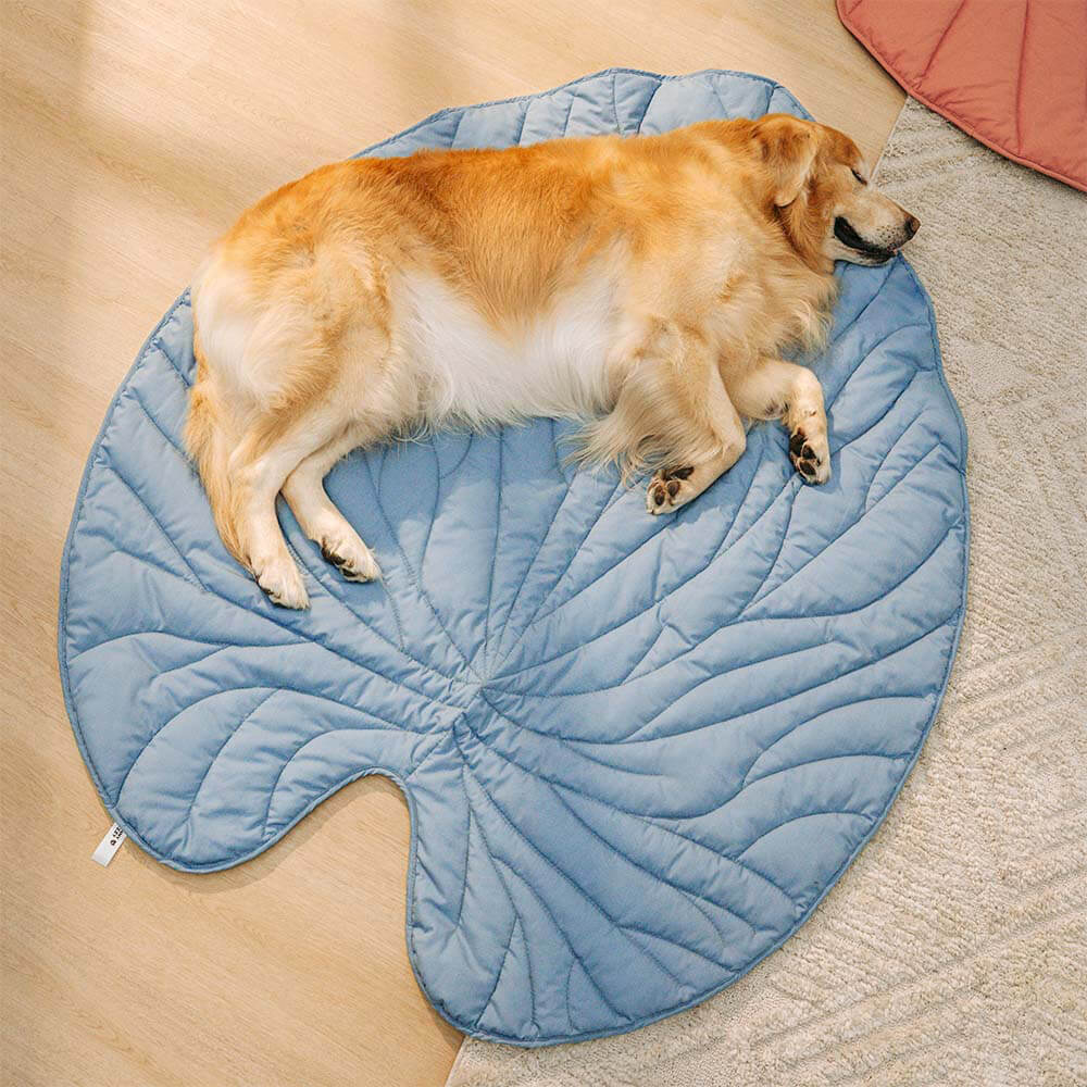 Hochwertige und dekorative Hundedecke in Blattform