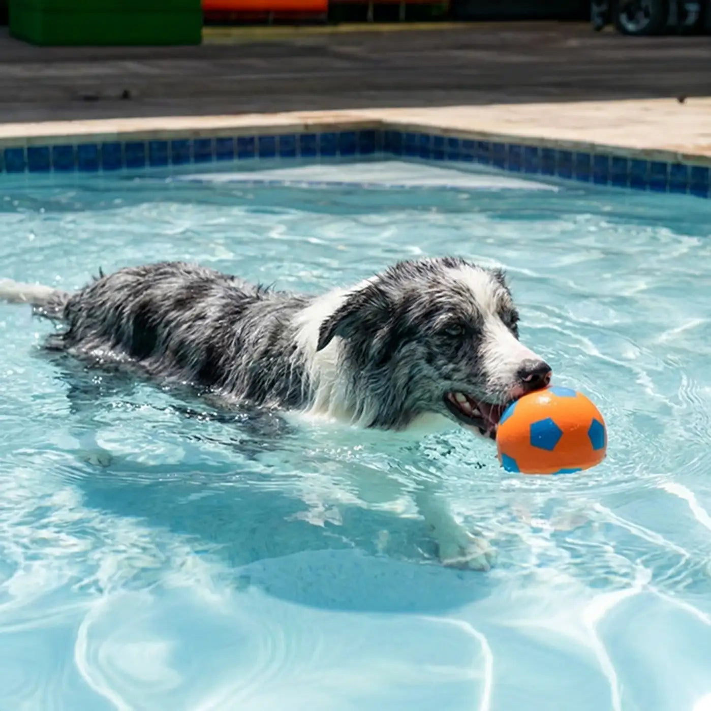 Lustiges hoch elastisches schwimmendes Fußball-Hundespielzeug