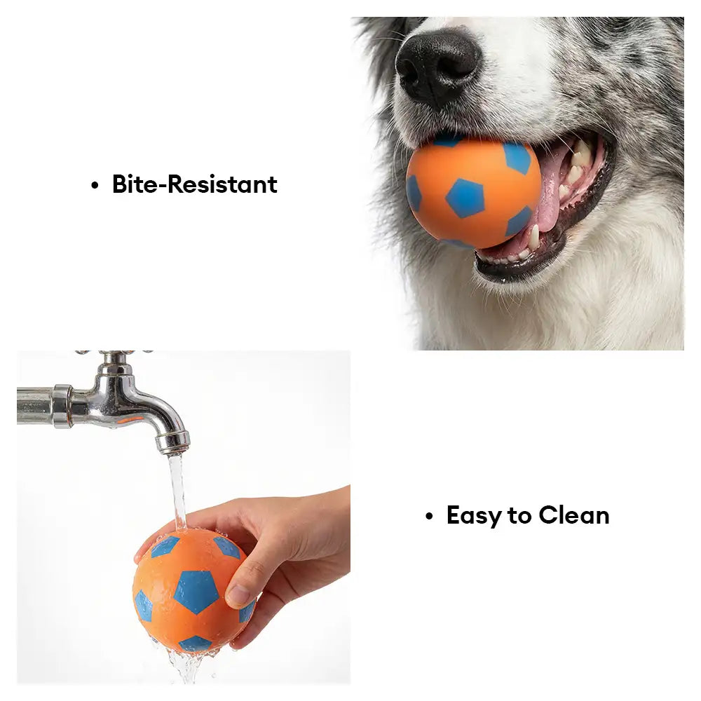 Lustiges hoch elastisches schwimmendes Fußball-Hundespielzeug