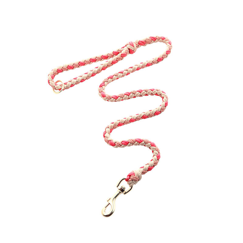 Handgewebtes Leder Mehrzweck Anti-Zieh-Hundehalsband und Leinen-Set