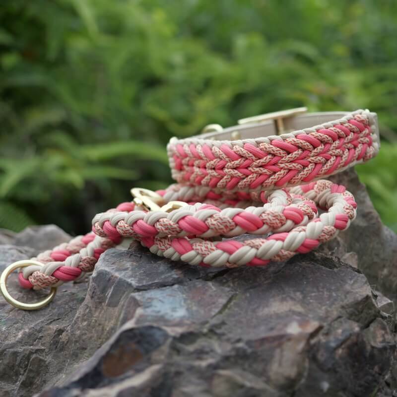 Handgewebtes Leder Mehrzweck Anti-Zieh-Hundehalsband und Leinen-Set