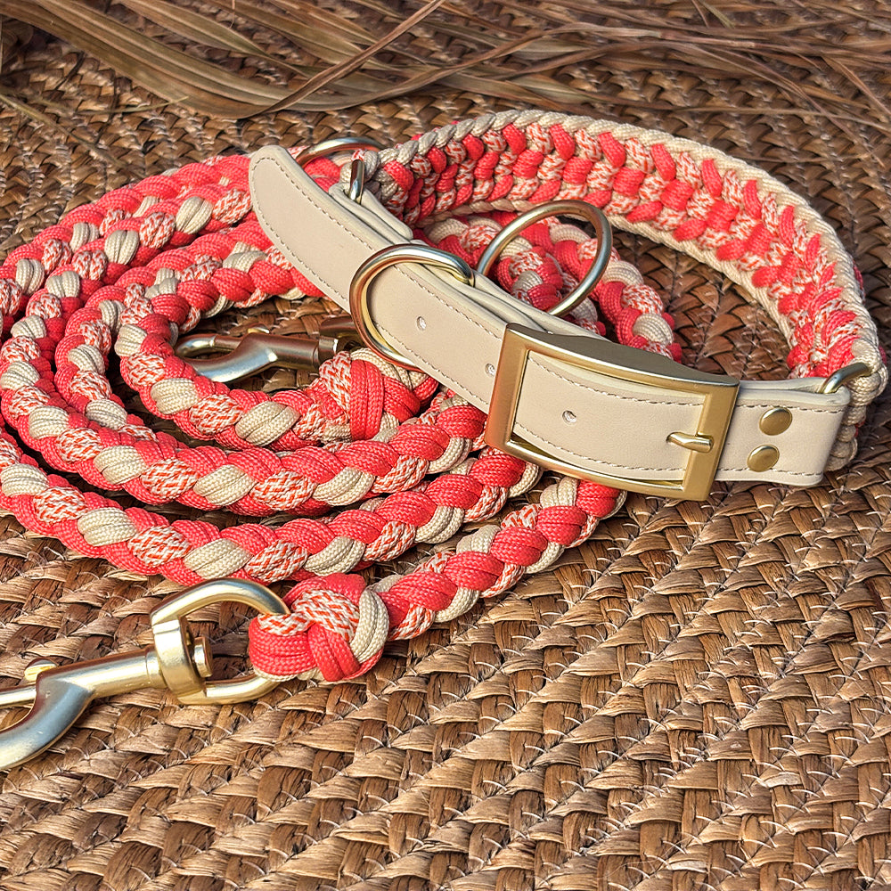 Handgewebtes Leder Mehrzweck Anti-Zieh-Hundehalsband und Leinen-Set