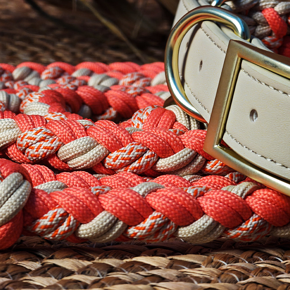 Handgewebtes Leder Mehrzweck Anti-Zieh-Hundehalsband und Leinen-Set