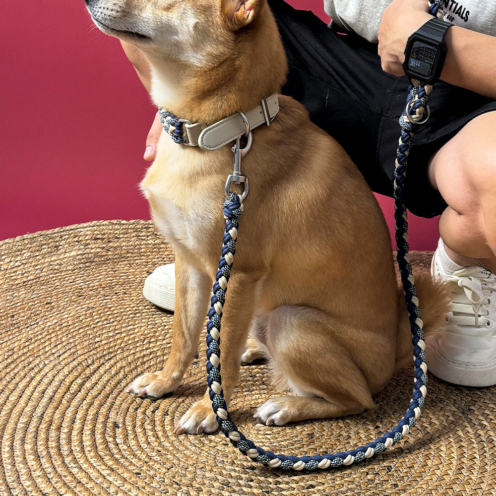 Handgewebtes Leder Mehrzweck Anti-Zieh-Hundehalsband und Leinen-Set