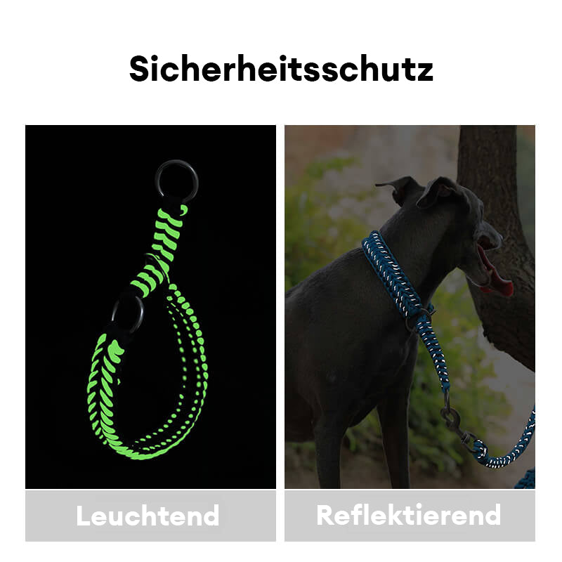 Handgefertigtes leuchtendes Anti-Zug-Halsband und Leine für große Hunde