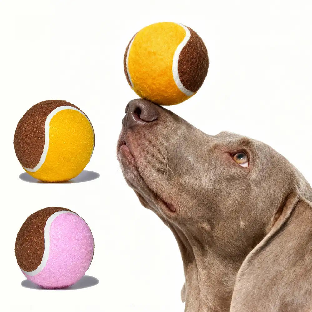 Interaktives Tennisball-Hundespielzeug