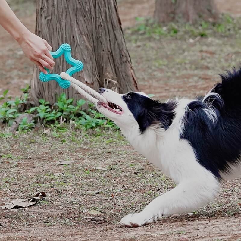 Interaktives Tauziehen-Hundespielzeug Zahnreinigung Kauspielzeug aus Gummi