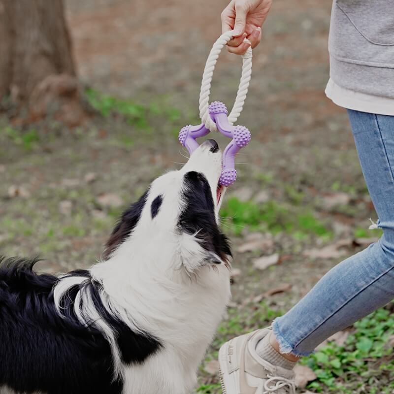 Interaktives Tauziehen-Hundespielzeug Zahnreinigung Kauspielzeug aus Gummi