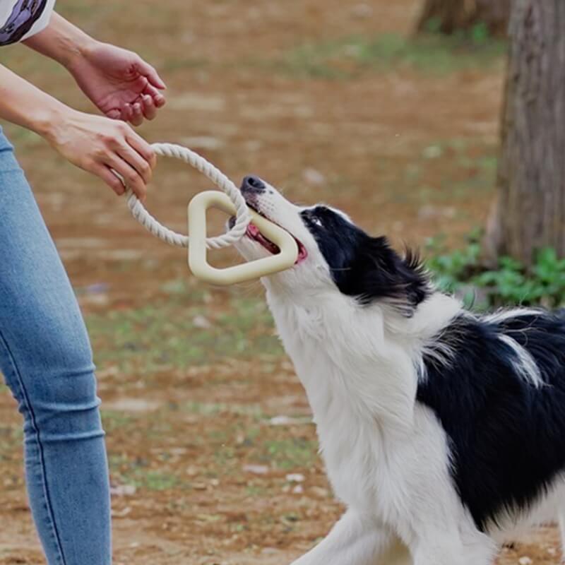 Interaktives Tauziehen-Hundespielzeug Zahnreinigung Kauspielzeug aus Gummi
