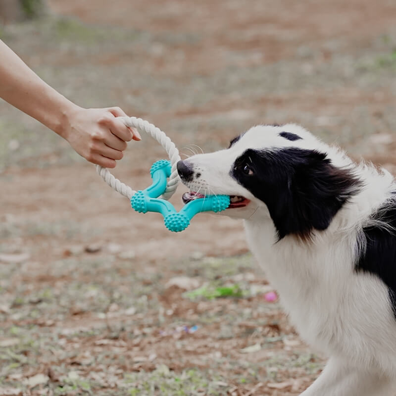 Interaktives Tauziehen-Hundespielzeug Zahnreinigung Kauspielzeug aus Gummi