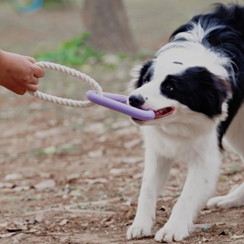 Interaktives Tauziehen-Hundespielzeug Zahnreinigung Kauspielzeug aus Gummi