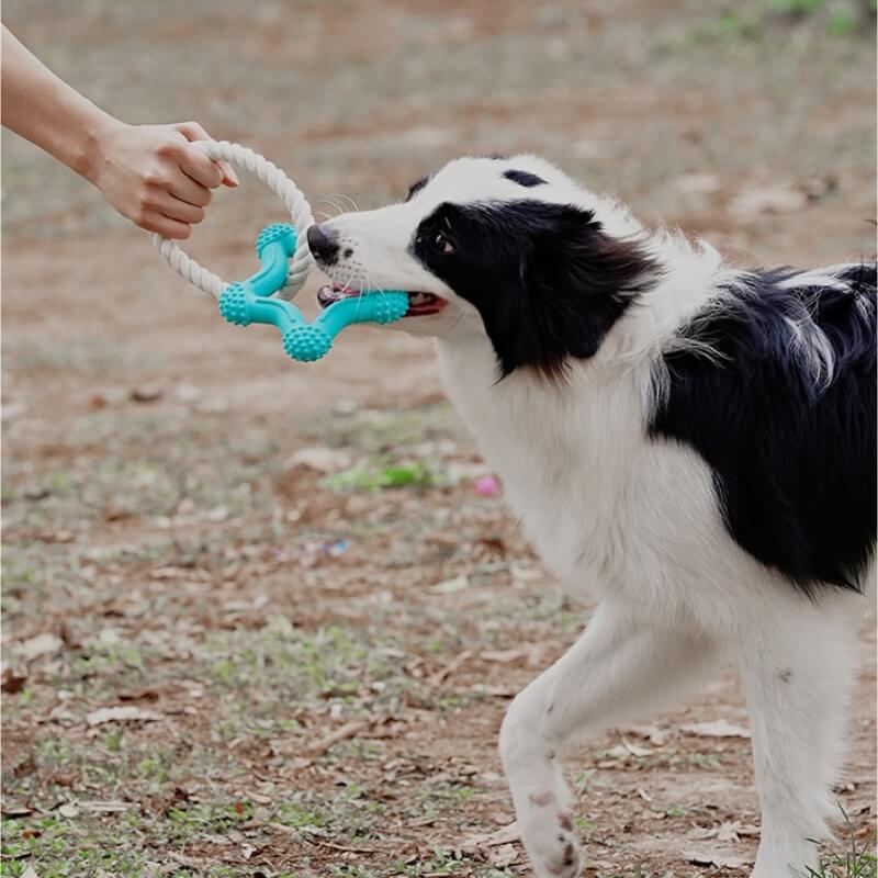 Interaktives Tauziehen-Hundespielzeug Zahnreinigung Kauspielzeug aus Gummi