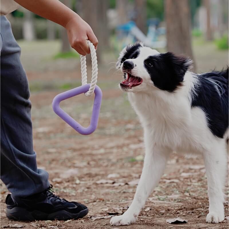 Interaktives Tauziehen-Hundespielzeug Zahnreinigung Kauspielzeug aus Gummi