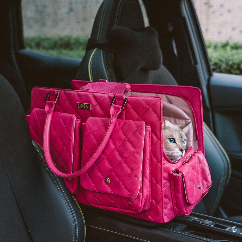 Große Tragende Stilvolle Multifunktionale Geteilte Reise Katzen Tasche - Wandernder Schwanz