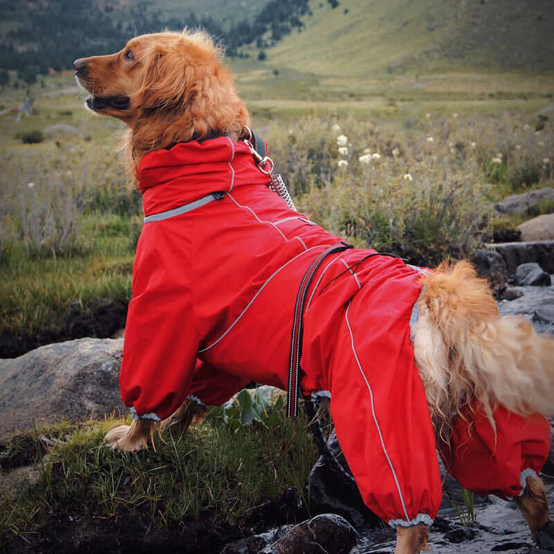 Wasserdicht Verstellbarer Hunderegenmantel Outdoor-Jacke für große Hunde