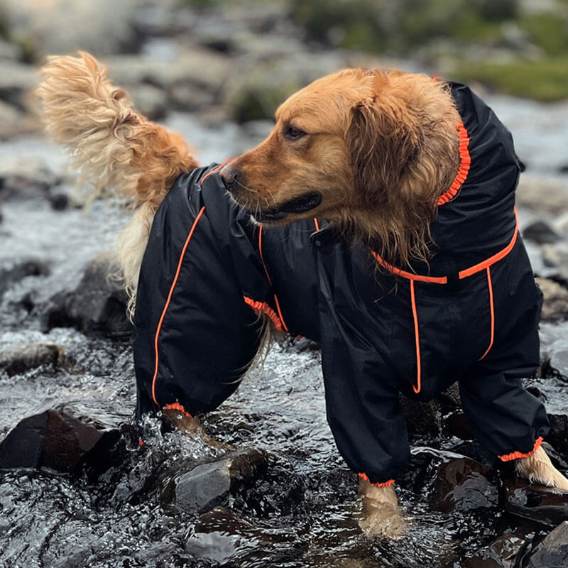 Wasserdicht Verstellbarer Hunderegenmantel Outdoor-Jacke für große Hunde