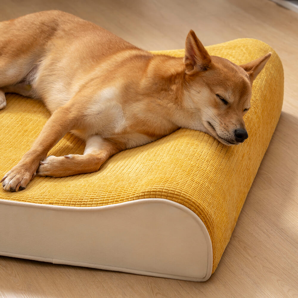Luxuriöser Wasserdicht Lounge Orthopädisches Hundebett