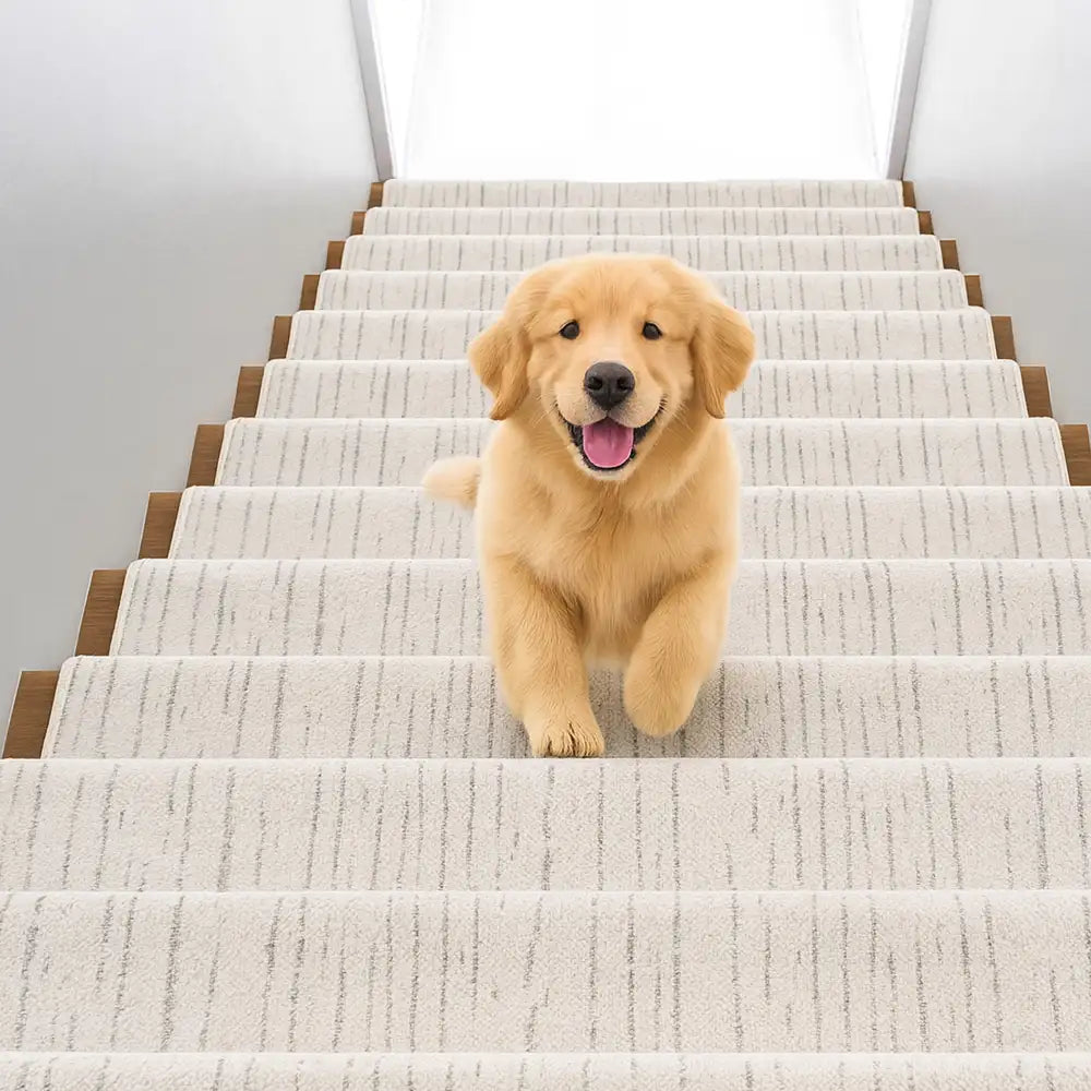 Marmor-Gepolsterte Dicke und Weiche Bullnose Rutschfeste Treppenstufen