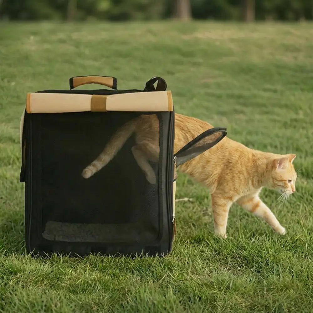 Mehrzweck atmungsaktiver Roll-Up Haustierträger Katzenrucksack