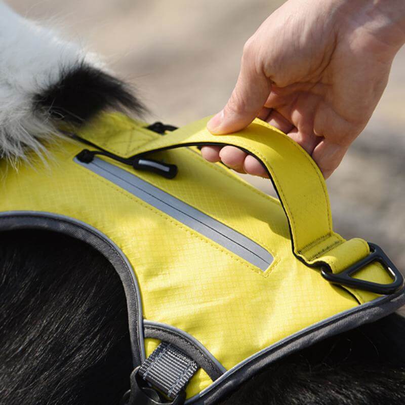 Multifunktionales Explosionsgeschütztes Anti-Zug-Geschirr für Mittelgroße bis Große Hunde