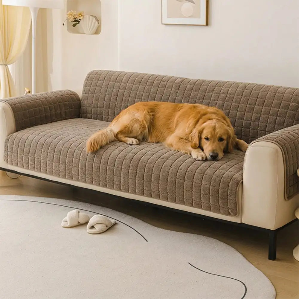 Einteilige, weiche, haustierfreundliche Kurzplüsch-Sofaschonhülle, rutschfest