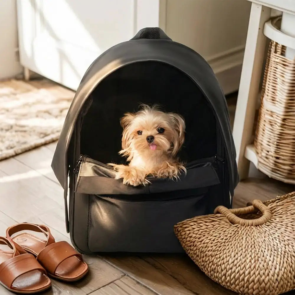 Outdoor-Reise erweiterbarer atmungsaktiver Katzen-Trage-Rucksack mit Sonnenblende