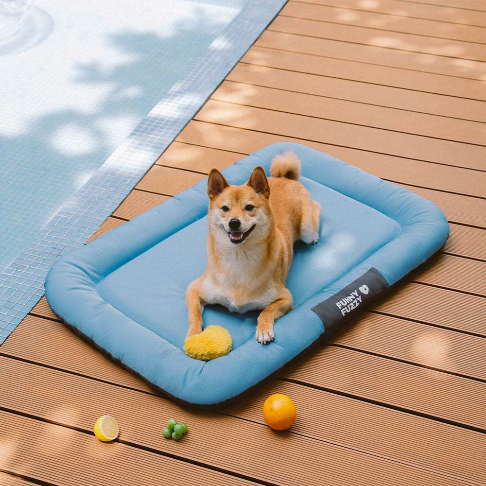 Wasserfestes und bissfestes Memory-Schaum-Orthopädisches Hundematte für die Hundebox