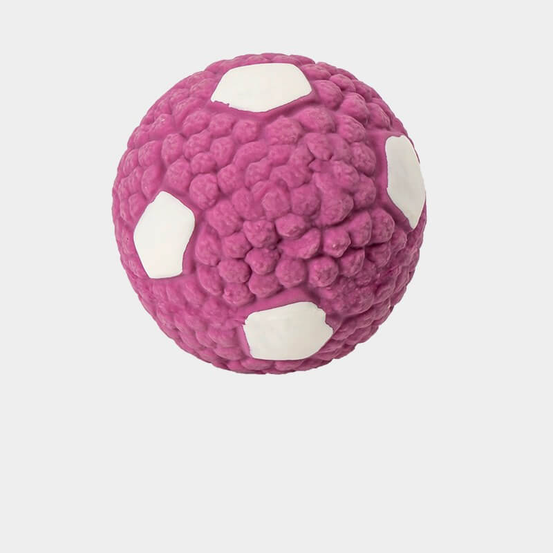 Langlebiges Interaktives Kauspielzeug für Hunde Quietschballspielzeug aus Latex für Haustiere