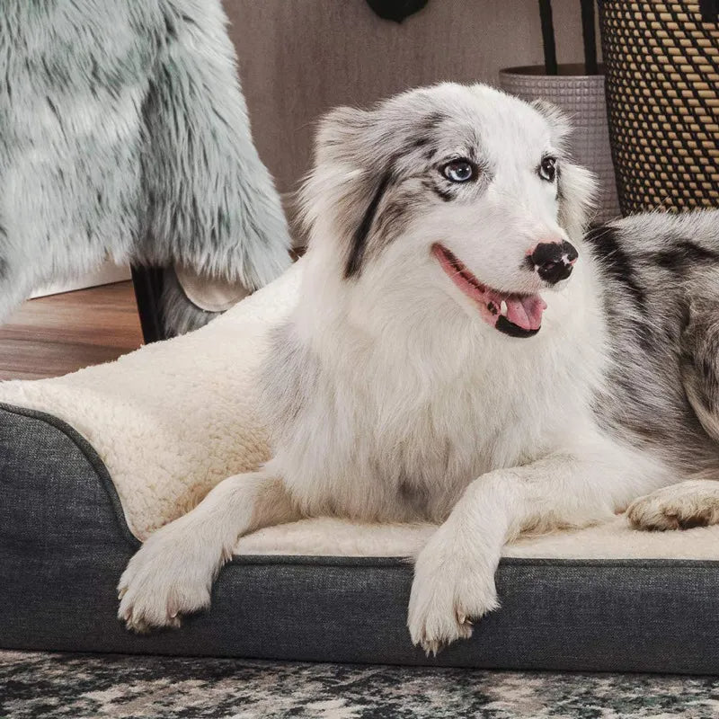 Plüsch-Schlafsofa für Haustiere Orthopädisches Hundebett aus Memory-Schaum