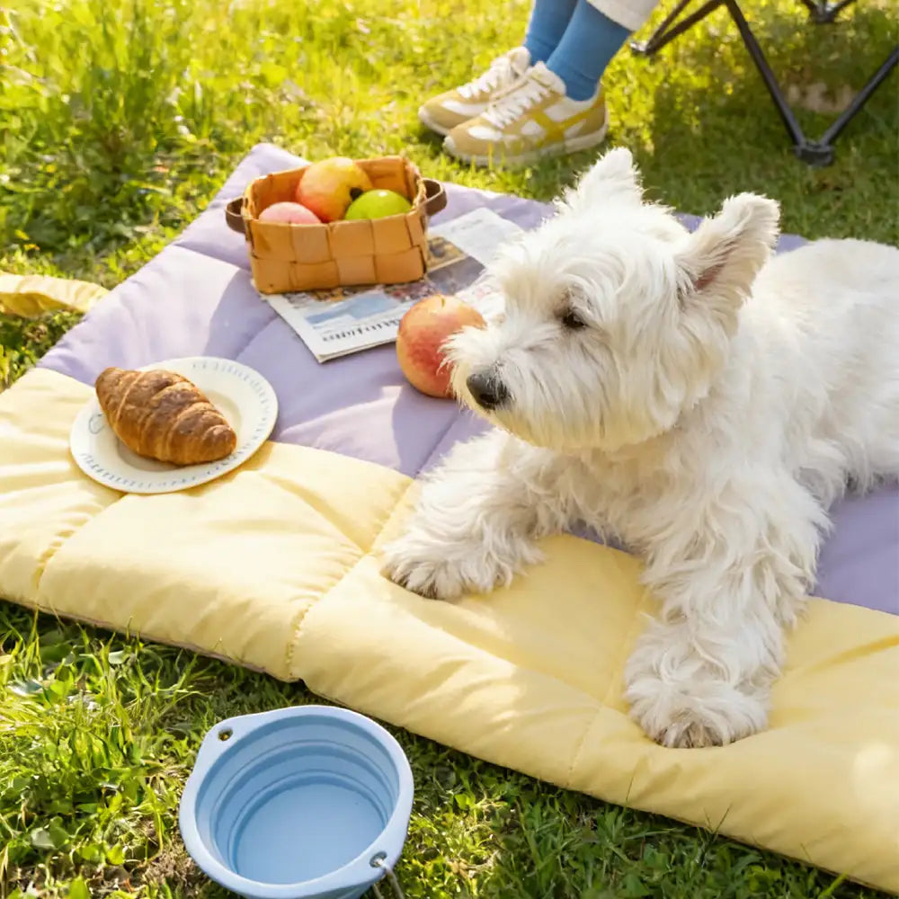 Tragbare faltbare beidseitige wasserabweisende Hundematte für Outdoor-Reisen und Camping