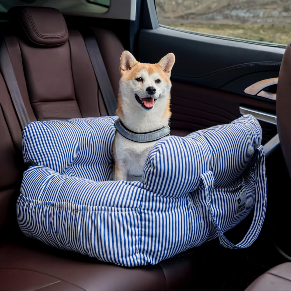 Sicheres Abnehmbares Hunde-Autositzbett | Erste Klasse