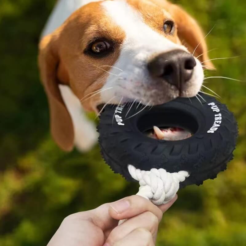 Interaktives Hundespielzeug aus Gummireifen zum Beiß- und Kauen