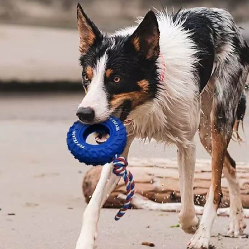 Interaktives Hundespielzeug aus Gummireifen zum Beiß- und Kauen