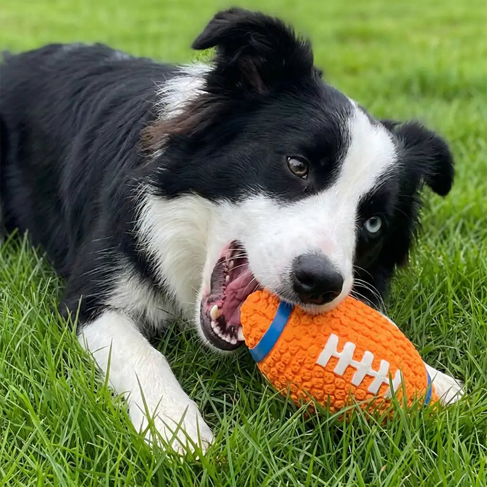 Rugby-Hundekauspielzeug mit Quietscher