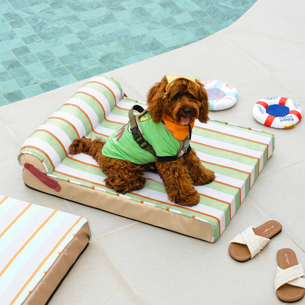 Kühlendes orthopädisches Hundebett für die Hundebox