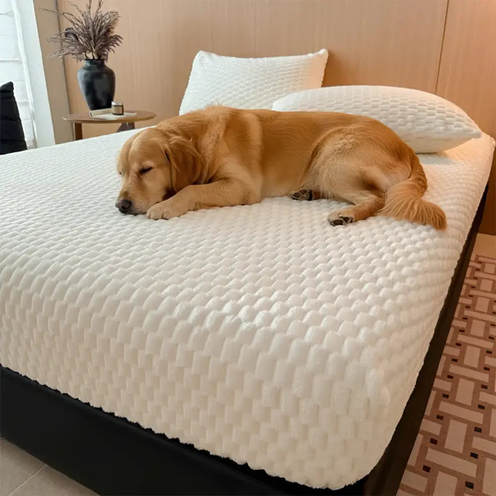 Weicher Plüsch hautfreundlicher Matratzenschoner Bettwäsche Spannbettlaken-Set