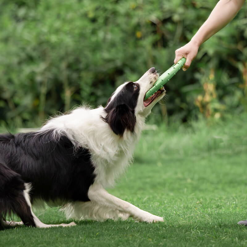 Interaktive Hunde-Frisbee Lenkrad Wurfspielzeug aus Gummi