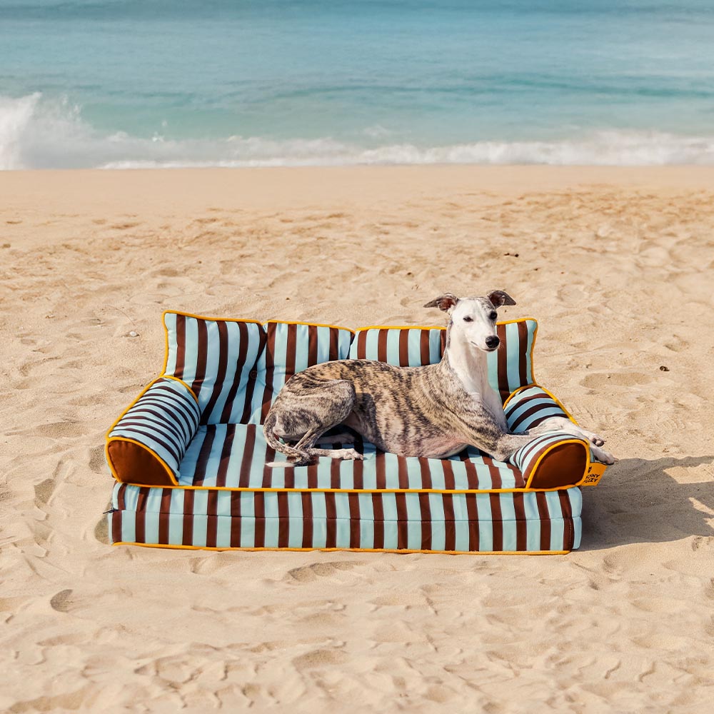 Modisches Gestreiftes Wasserabweisendes Faltbares Hundesofabett - Sunny Siesta