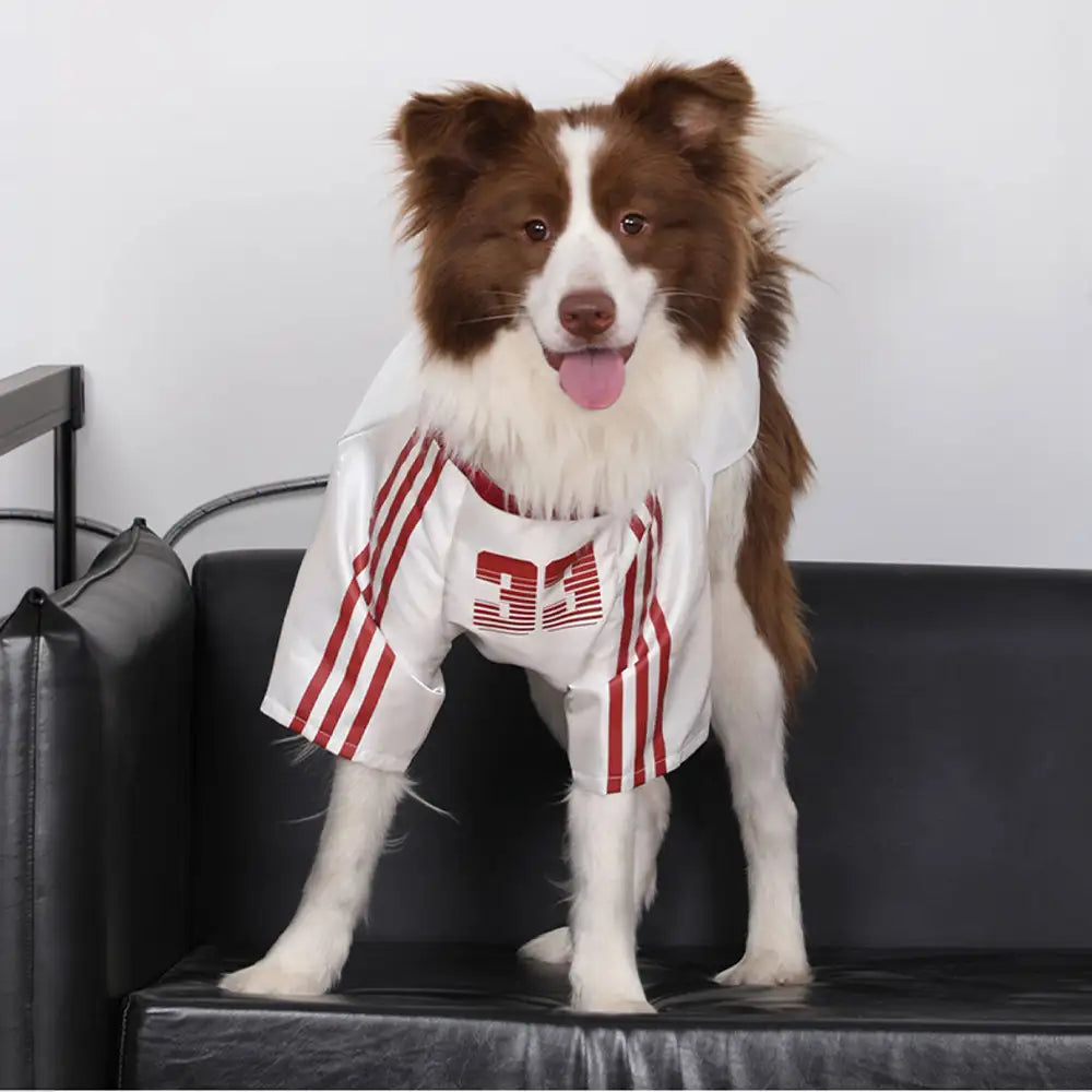 Gestreiftes retroreflektierendes Hund T-Shirt für alle Rassen